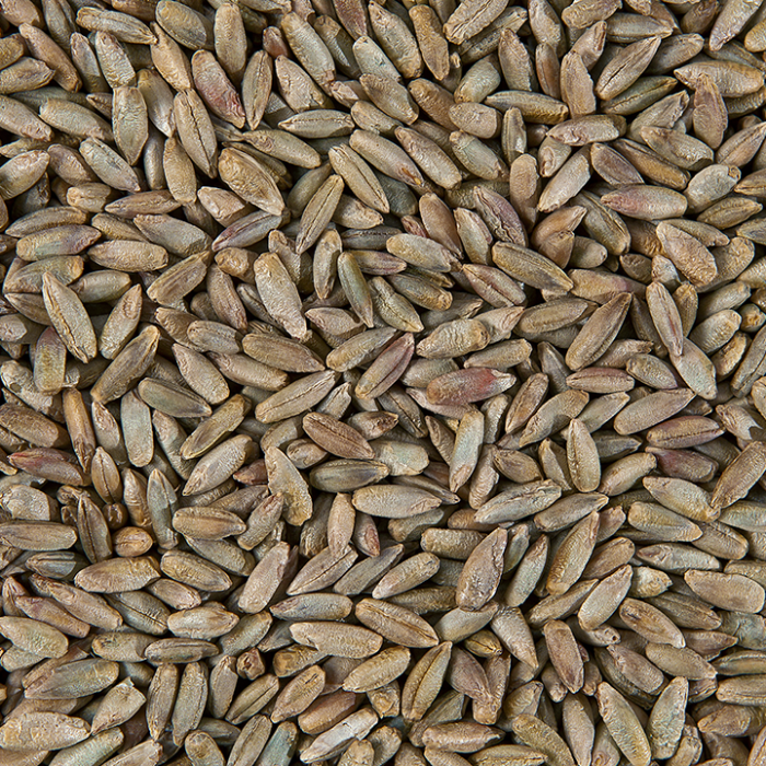 2dw9y2quh9pt2mq40fss9tnug63s4qhf