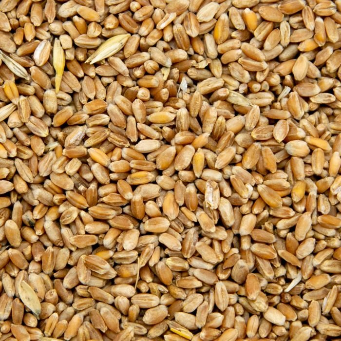 5688e8c236c99d1acfe9062ca4cda862