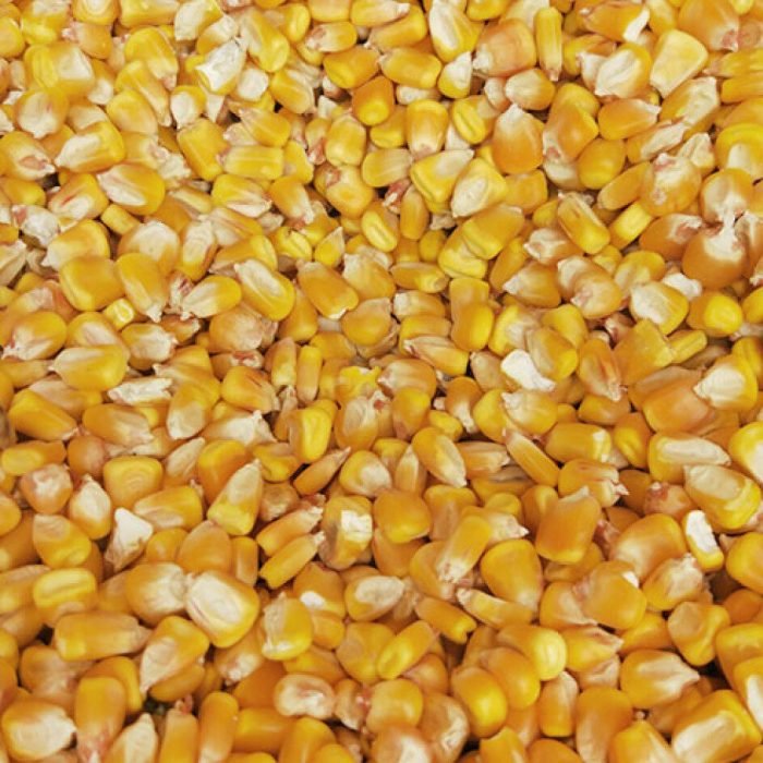 kukuruza-seshenaja-1-980x1160