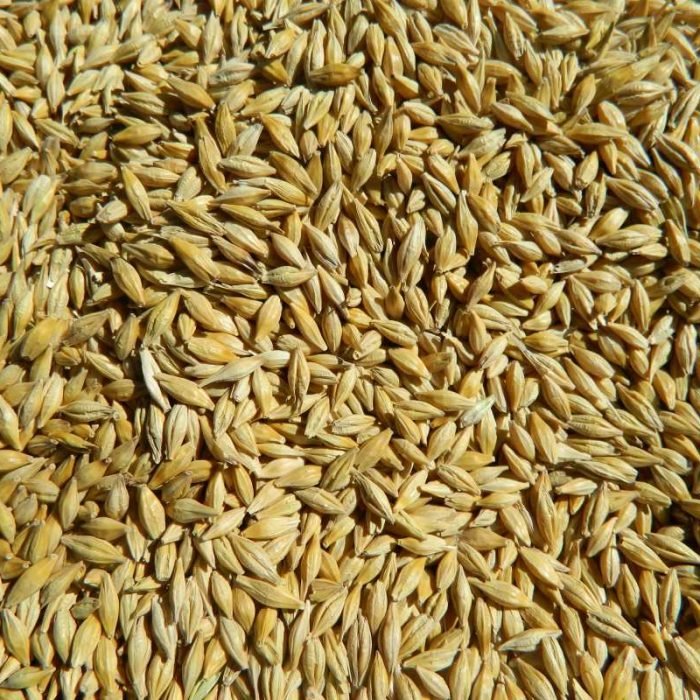 product_image_record_6172a7f481917